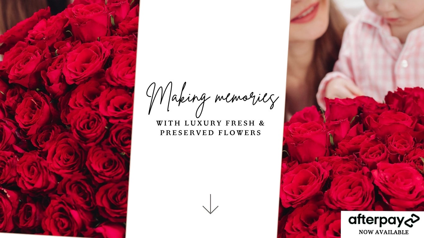 Valentine's Day Luxe Gifts on Afterpay - Buy now pay later with Afterpay